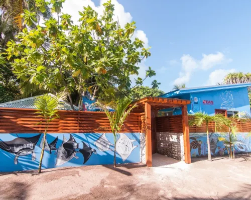 South Ari Dive Center Hotels in Dhangethi