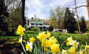 Inn at Monticello