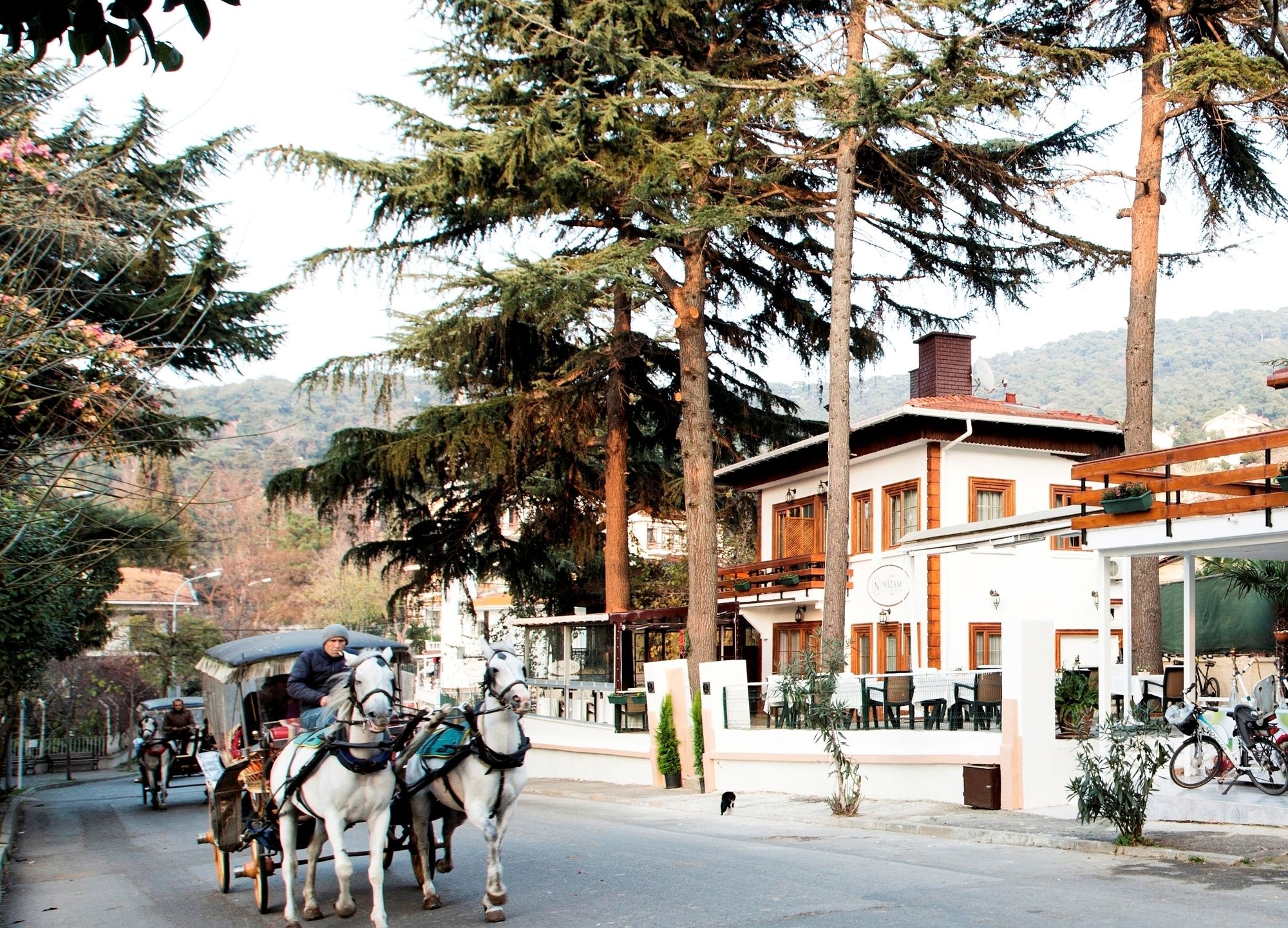 Nizam Butik Otel Buyukada (Nizam Butik Otel Büyükada)