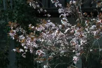 City Hotel Neuruppin Hotels in Neuruppin