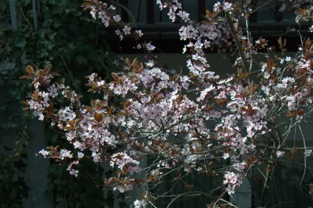 City Hotel Neuruppin Отели в г. Нойруппин