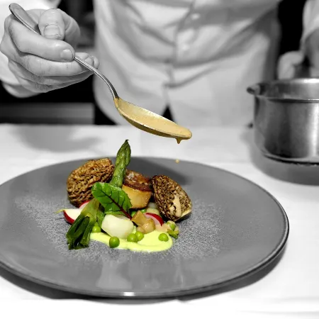 Logis Hôtel Restaurant le Medicis