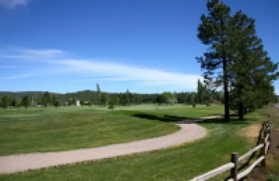 Motel in the Pines
