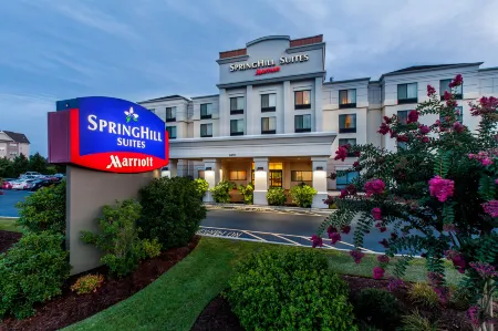 SpringHill Suites Florence Отели в г. Флоренс