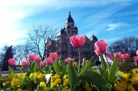 Best Western Plus Denton Inn  Suites Hotels in Denton