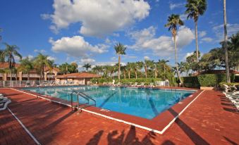 a large outdoor swimming pool surrounded by palm trees , with a red brick patio in the background at Grand Palms Spa & Golf Resort