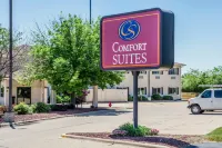 Comfort Suites Peoria I-74 Hotels near Sterling Bazaar