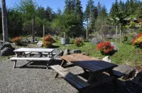 Cabins West - balcony