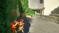 Hotel Glavjc - balcony