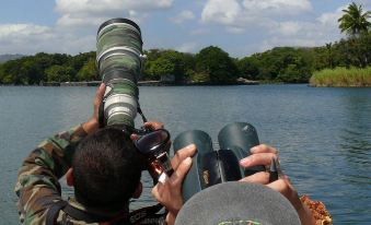 Zopango Orchids Island