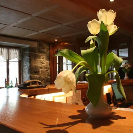 Hotel Suisse
