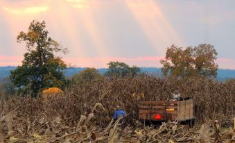 a tractor is parked in a field of corn , with the sun setting in the background at The Jacqueline House of Wilmington