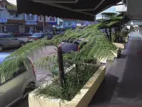 The Fern Lodge Hotel