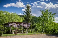 Le Cetinelle Hotels in Figline e Incisa Valdarno