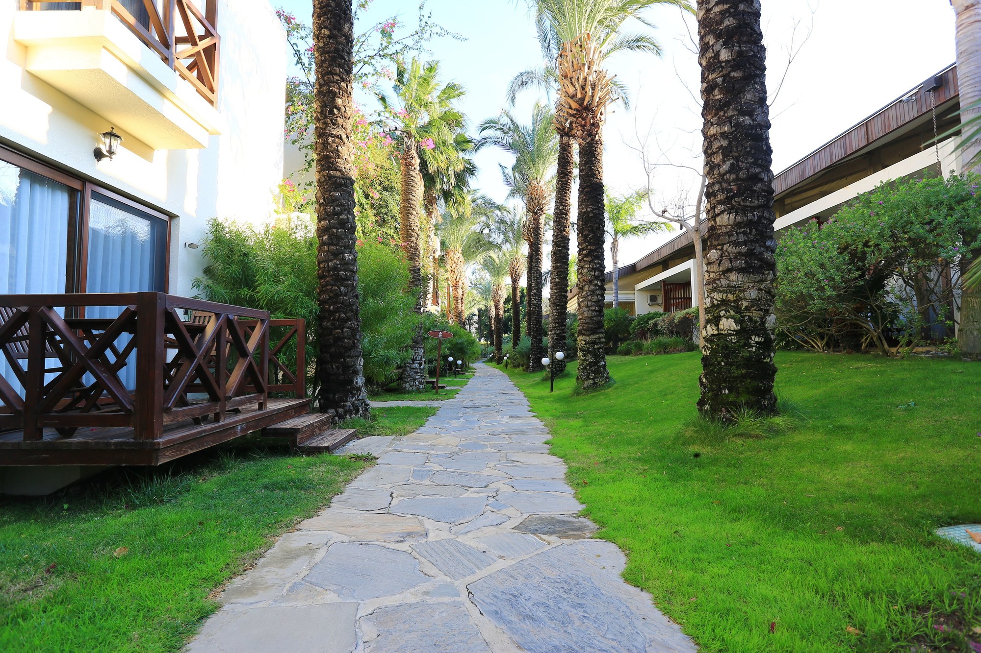 The Lifeco Bodrum Wellbeing & Detox Center Mugla