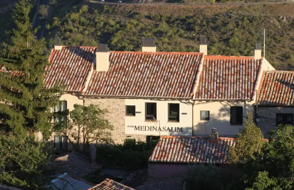 麥地那薩利姆酒店