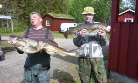 Tosbotn Camping & Cottages - Housity