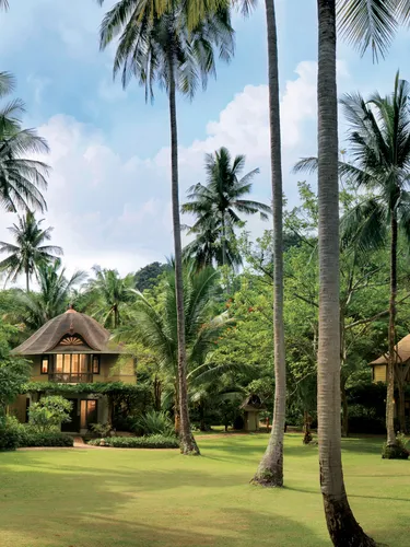 รูปภาพของรายาวดี