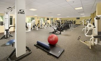 Holiday Inn Express & Suites Charlottesville - Ruckersville