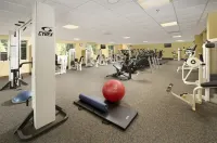 Holiday Inn Express & Suites Charlottesville - Ruckersville Hotels in Greene County