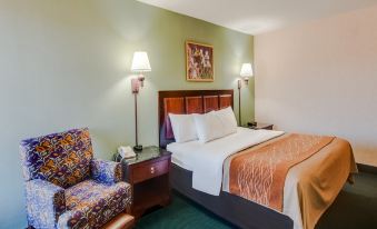 Comfort Inn Virginia Horse Center