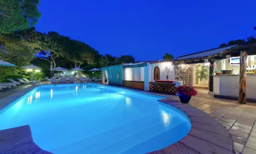 아마레 코르시카