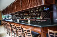 Radisson Hotel Montreal Airport - bar