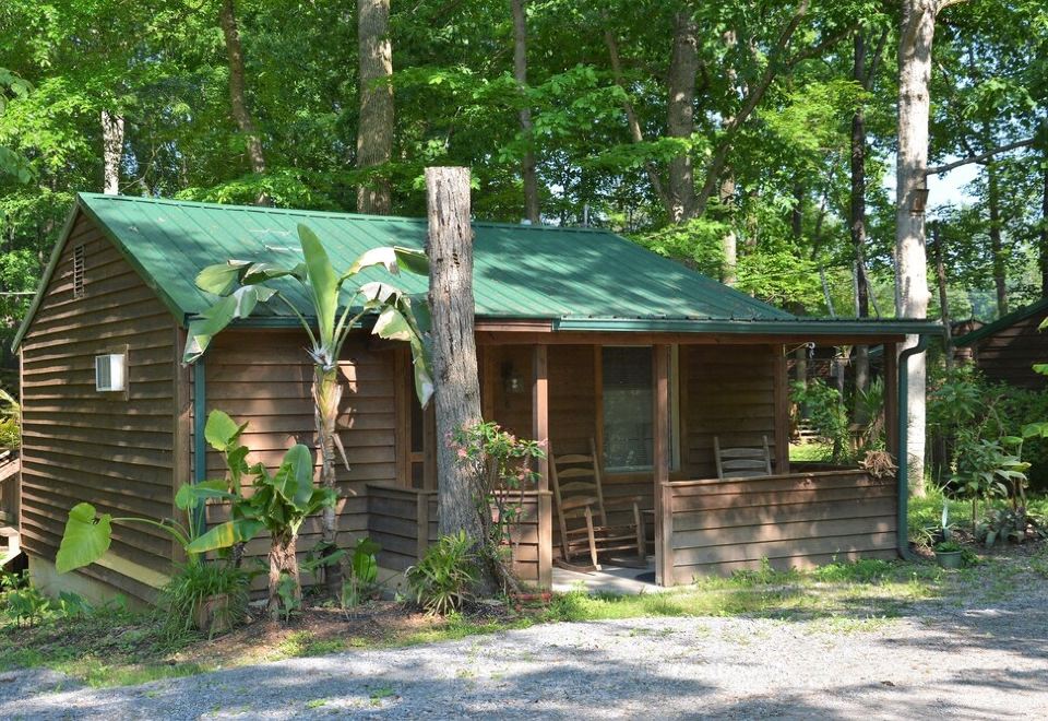 a small wooden cabin surrounded by trees and a dirt road , with a rocking chair placed outside the cabin at Lost Lodge Resort