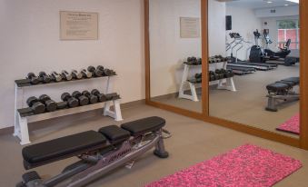 a gym with various exercise equipment , including treadmills and weights , in front of a large mirror at SpringHill Suites Herndon Reston