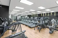 Paradox Sydney - Gym