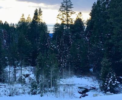 Surroundings #51 & #52 Hyatt Lake Compound~Sleeps 10~Lake View Photo