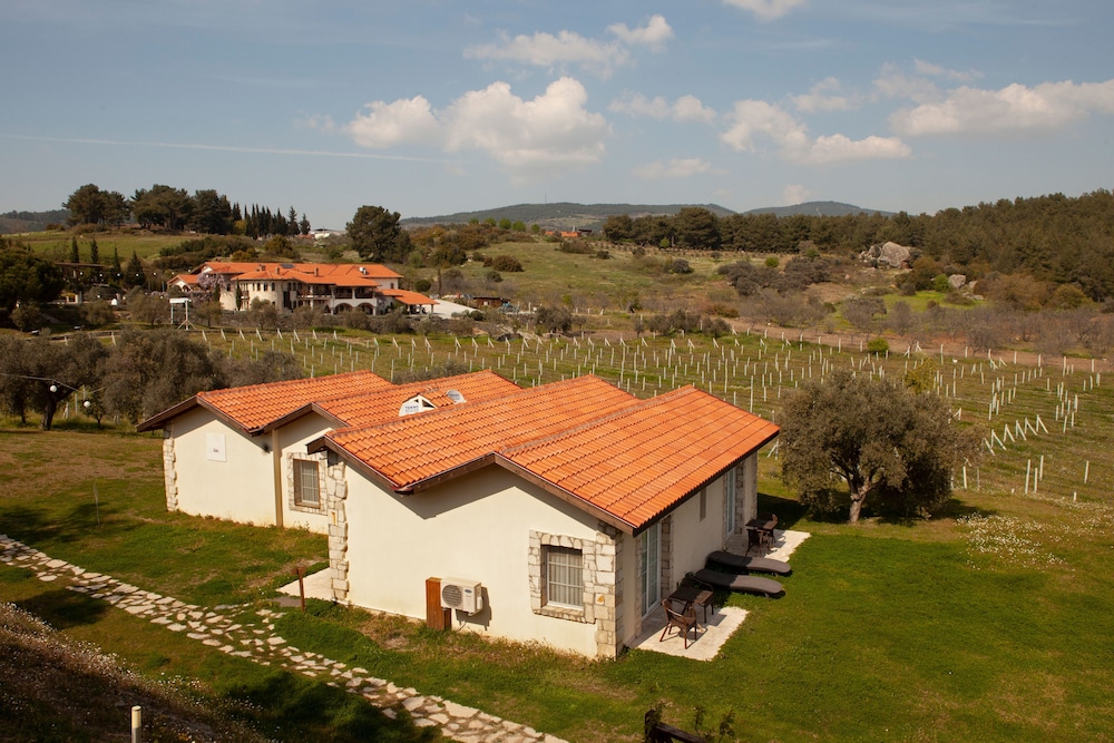 Vinifera Hotel Yedi Bilgeler Vineyards