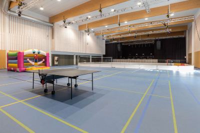 卓球 スパ ホテル ランタシピ アウランコの写真