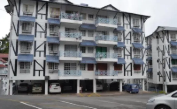 雛菊@德薩紅掌花