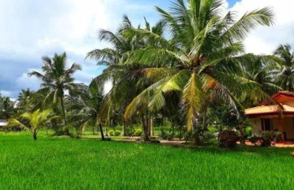 維勒珀圖綠藍寶石假日度假村