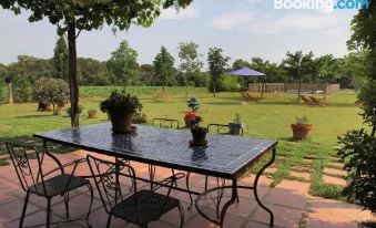 Private Country House Surrounded by Olive Trees - Housity