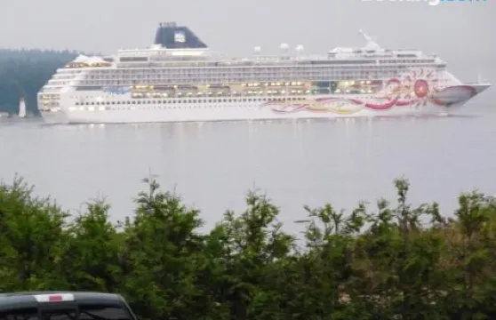 海濱漂流木旅館