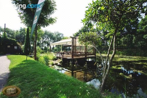 Kaktusik, Augustow - 2026 Prices & Reviews | Trip.com