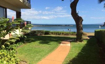 Maalaea Yacht Marina 309 2 Bedrooms 2 Bathrooms Condo