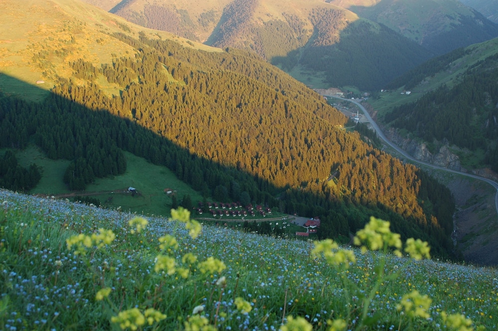 Zitas Otel Zigana Yayla Tatil Koyu