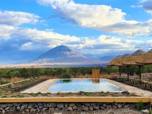 Africa Safari Lake Natron