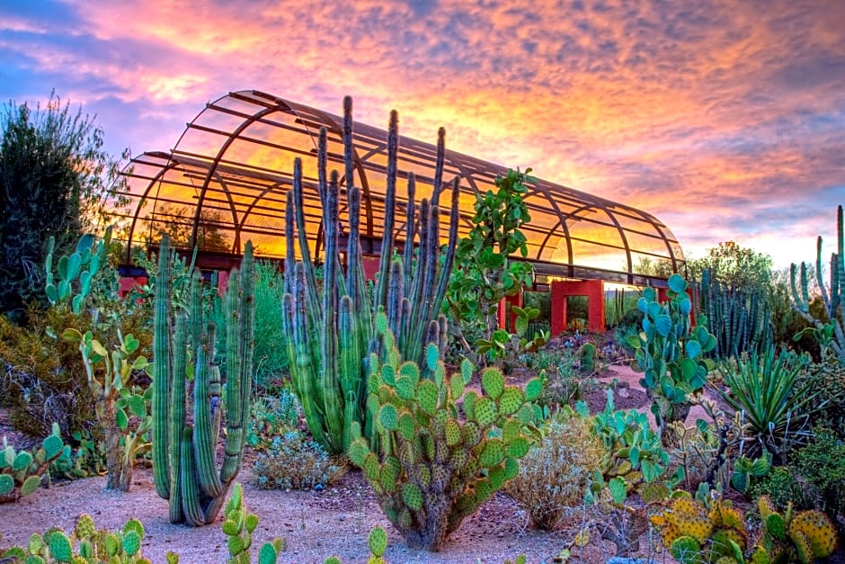 Holiday Inn Express & Suites Phoenix - Airport North, an Ihg Hotel