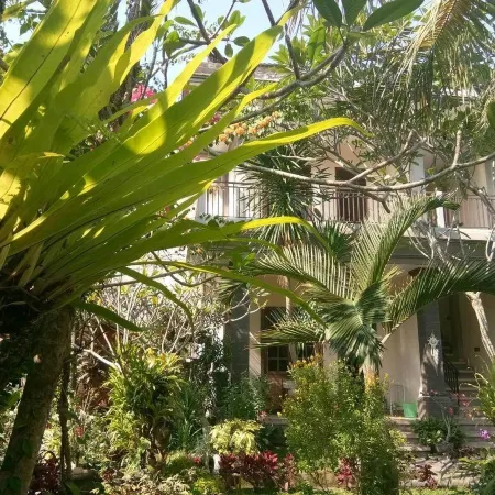 Nyuh Gading Accommodation