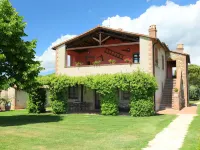 Stucchio