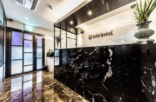 Iris Hotel Yeongdeungpo Seoul Отели рядом с достопримечательностью «Йеуидо»