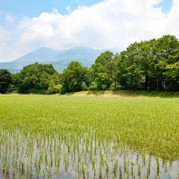 Hoshino Resorts RISONARE Nasu