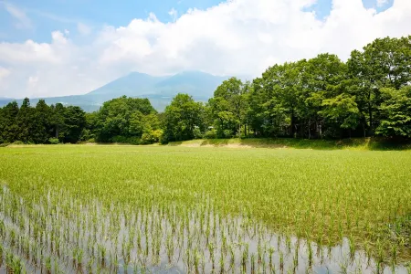 Hoshino Resorts RISONARE Nasu Отели в г. Насу