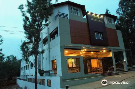 Ack Palacce Inn Отели в г. Йеркод