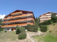Dent Favre A 5 - spa