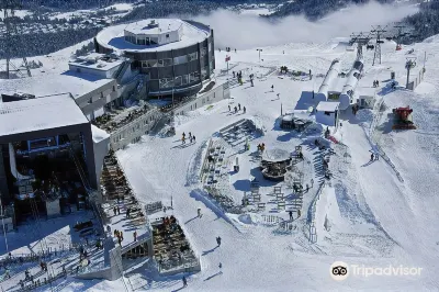 Galaaxy Mountain Hostel Hotels in 